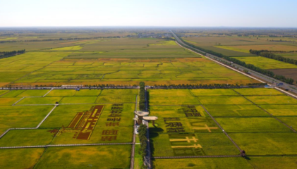 科技賦能 綠色崛起——扎賚特旗農畜產(chǎn)品加工產(chǎn)業(yè)集群入圍自治區(qū)級名單